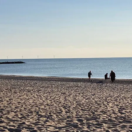 Gezellig Dicht Bij Het *